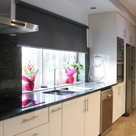 Turisalves- Ponte de Lima